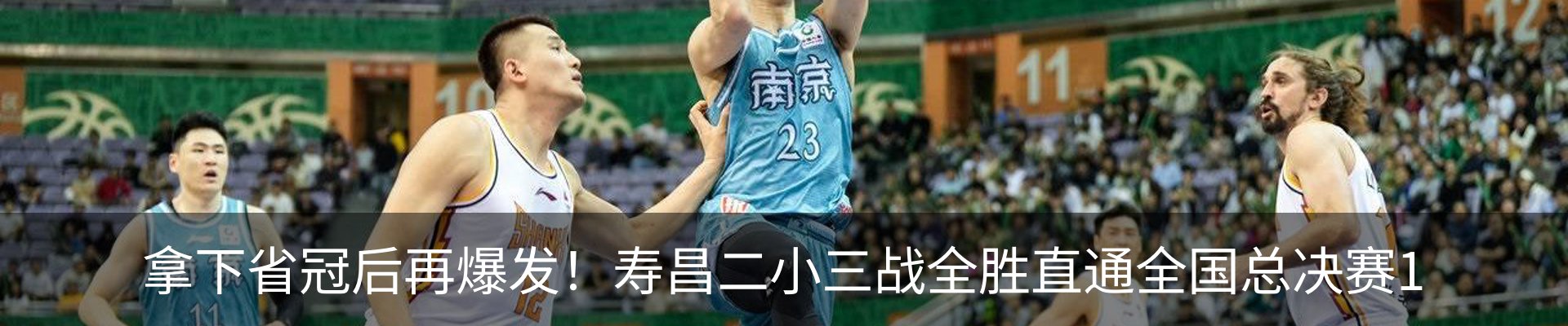 新闻动态